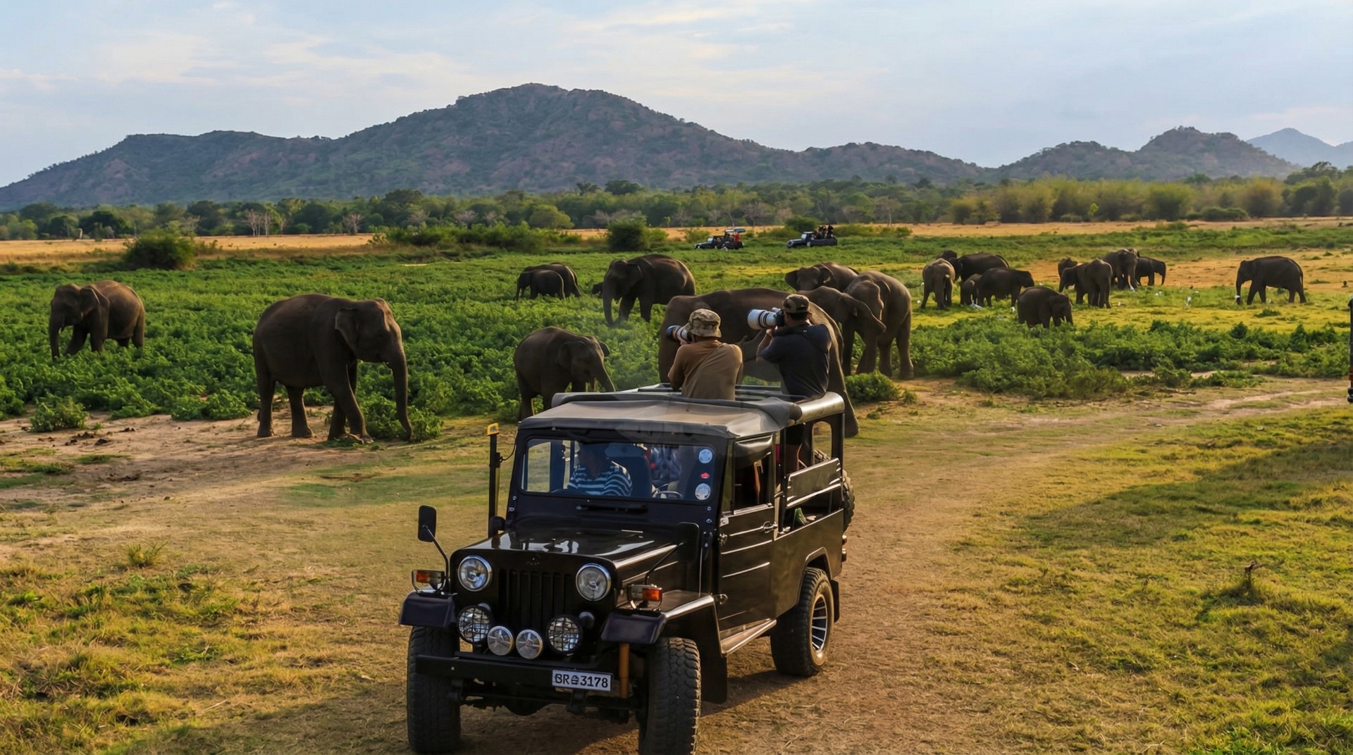 Safari